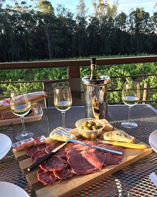Hunter Valley Vineyard Group Bus Trips Image -5887ed817a85a